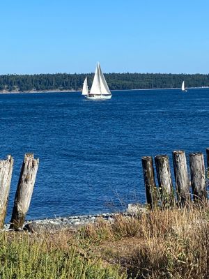 View from Doc's Marina Grill, Port Townsend